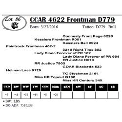 CCAR 4622 Frontman D779