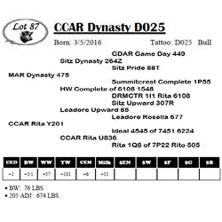 CCAR Dynasty D025