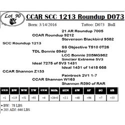 CCAR SCC 1213 Roundup D073