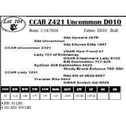 CCAR Z421 Uncommon D010