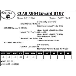 CCAR X964Upward D107