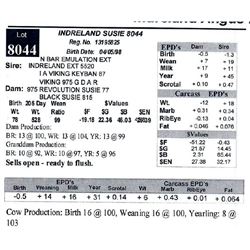 INDRELAND SUSIE 8044