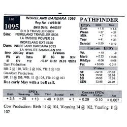 INDRELAND BARBARA 1095