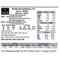 INDRELAND BARBARA 7173