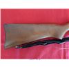 Image 3 : RUGER 10-22