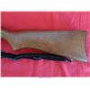 Image 7 : RUGER 10-22