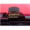 Image 11 : WINCHESTER 100
