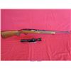 Image 1 : WINCHESTER 100