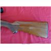 Image 6 : WINCHESTER 100