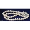 Image 1 : #24-STERLING SILVER FRESHWATER PEARL NECKLACE