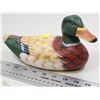 Image 1 : DUCK