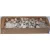 Image 1 : BOX REAL SEA SHELLS