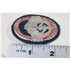 Image 1 : GERMAN NAZI SA BADGE WITH PIN