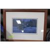 Image 1 : MOOSE PICTURE FRAMED WITH COA  1549/1950
