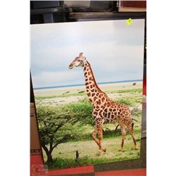 LARGE GIRAFFE PRINT ON CANVAS