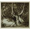 Image 1 : Sir Frank Brangwyn (1867-1956), British, BEECH TREE, Etching; signed in pencil to margin. Unfra...