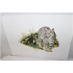 LOT OF UNFRAMED PRINTS