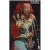 Image 2 : Jethro Tull