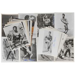 Steve Reeves