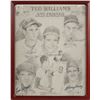 Image 2 : Ted Williams