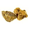 Image 1 : Two Nome Gold Nuggets