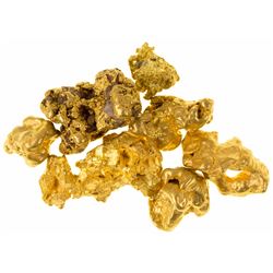 Seven Arizona Gold Nuggets