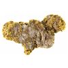 Image 1 : Placer Gold-in-Quartz from the Mokelumne River