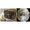 Image 1 : Flowery Mine Gold Specimen