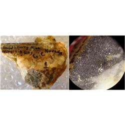 Gould & Curry Gold Hand Specimen
