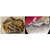 Image 1 : Obiston Mine Gold Specimens