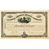 Image 1 : Central Arizona Mining Company Stock Certificate