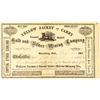 Image 1 : Yellow Jacket & Carey Gold & Silver Mining Company Stock Certificate