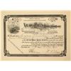 Image 1 : Nevada Hills Mining Company Stock Certificate