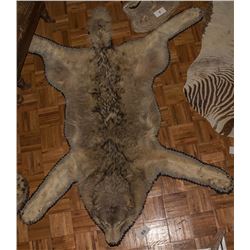 Arctic Timber Wolf Rug