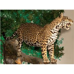 Jaguar Full Body Mount