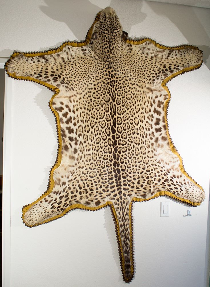 Mexican Jaguar Rug with Head