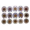 Image 1 : 15 Various Encased Lincoln Penny Montana Tokens