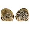 Image 1 : Brookgreen Gardens: Medal Number Nineteen, 1991