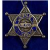 Image 1 : Los Angeles County Deputy Sheriff Badge