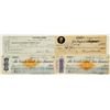 Image 1 : Three Nevada Checks & One Arizona