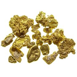 Downieville Gold Nuggets V