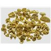 Image 1 : Downieville Gold Nuggets IX
