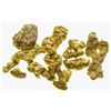 Image 1 : Downieville Gold Nuggets XVI