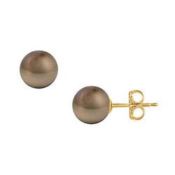 Tahitian Pearl Stud Earrings : 18K Yellow Gold – 11 MM