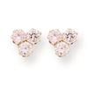 Image 1 : 14K Pink CZ Post Earrings