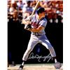 Image 1 : Dale Murphy Signed Atlanta Braves Batting 8X10 Photo