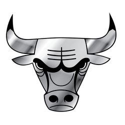 Chicago Bulls Silver Auto Emblem