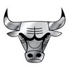 Image 1 : Chicago Bulls Silver Auto Emblem