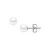 Image 1 : Akoya Cultured Pearl Stud Earrings : 14K White Gold – 6 MM