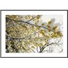 Image 1 : Fluffy snow clings to the yellow branches of a flowering forsythis bush framed black metal white mat